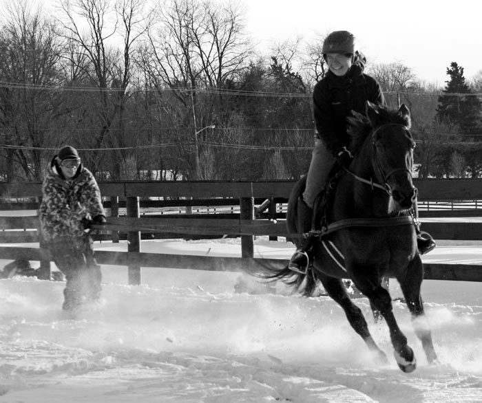 Skijoring Finally…a winter horse sport! A Horse and a Half